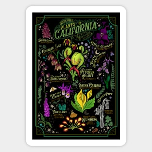 Obscure Plants of California Sticker